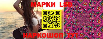 эйфоретик Можга