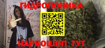 эйфоретик Можга