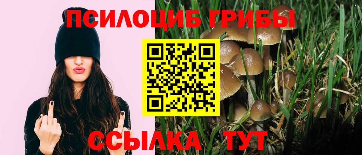 Галлюциногенные грибы мухоморы Тихорецк