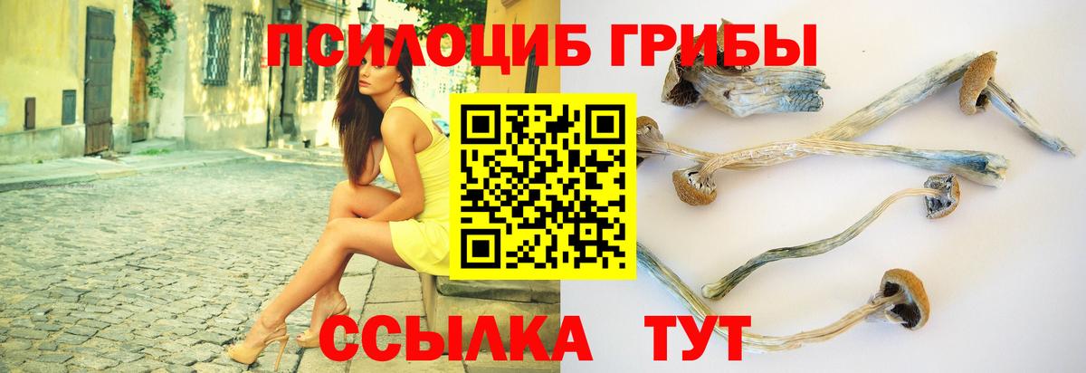 Галлюциногенные грибы мицелий  Галлюциногенные грибы MAGIC MUSHROOMS  Вход с VPN  Тихорецк 