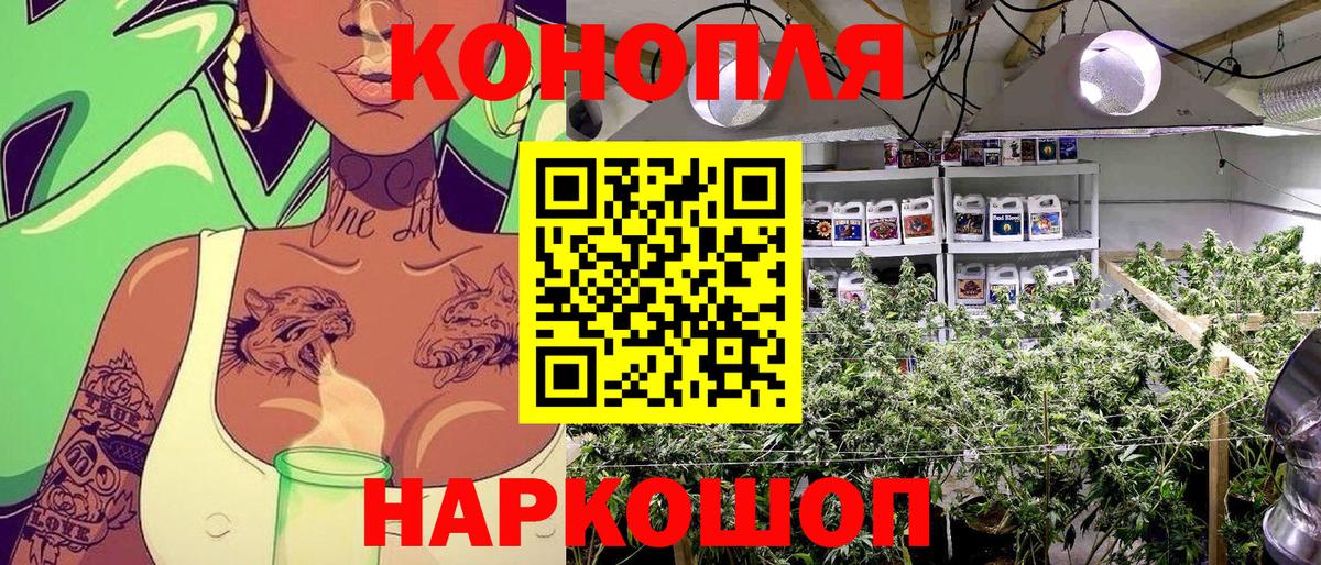 Тихорецк  Канабис планчик  МАРИХУАНА White Widow  Вход с VPN 